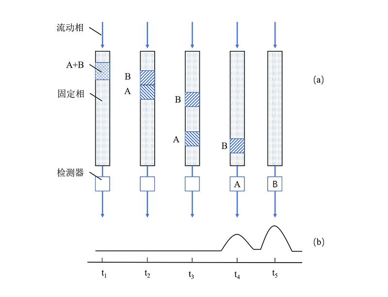 圖1 二組分混合樣的分離.jpg