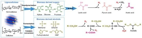 光催化木質(zhì)纖維素衍生化學(xué)品轉(zhuǎn)化和制氫路線