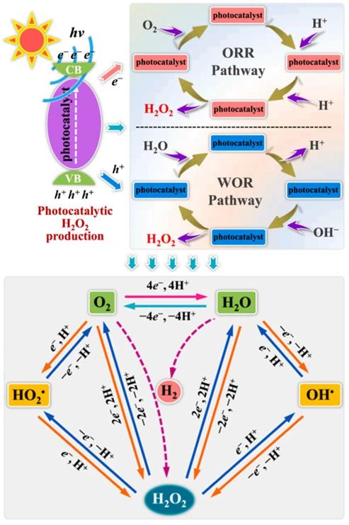 半導(dǎo)體上光催化H?O?合成示意圖